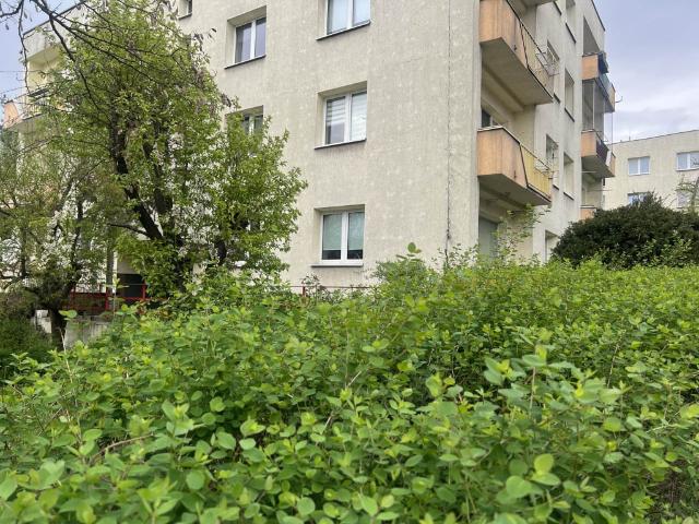 Mieszkanie na sprzedaż, Katowice, Śródmieście, Akacjowa