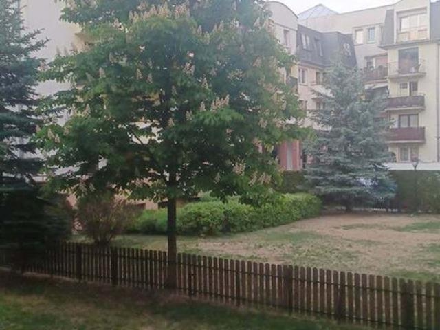 Mieszkanie na sprzedaż, Pelikanów