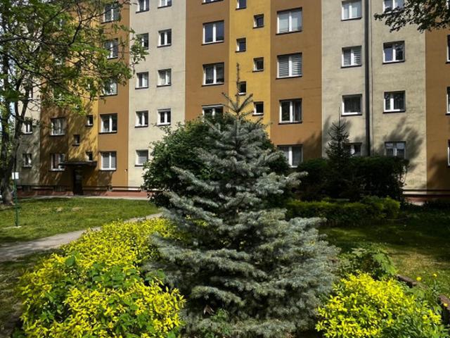 Mieszkanie na sprzedaż, Radom