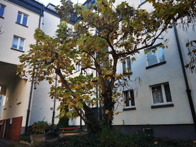 Mieszkanie na sprzedaż, Warszawa, Śródmieście, Hoża
