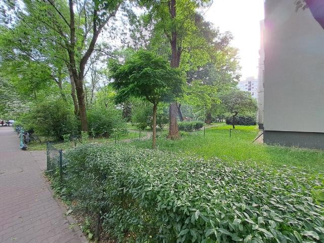 Mieszkanie na sprzedaż, Wrocław, Stare Miasto, Stefana Czarnieckiego