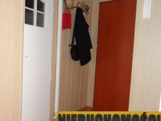 Mieszkanie na wynajem