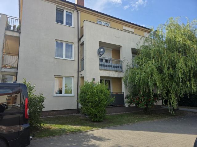 Mieszkanie na wynajem, Brzozowa
