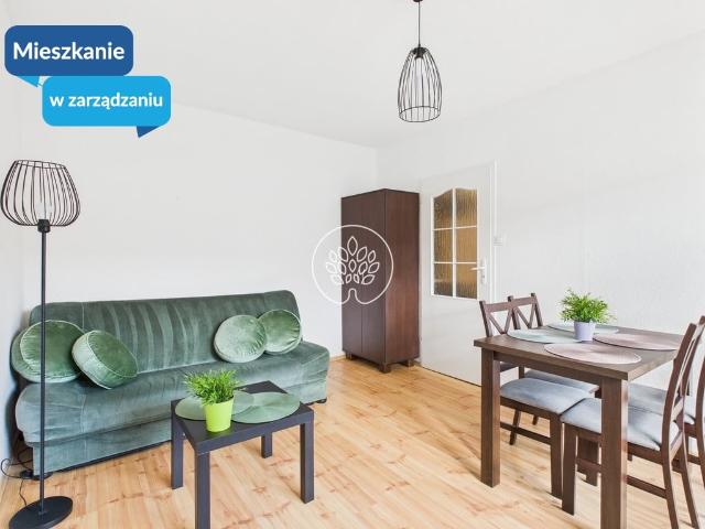 Mieszkanie na wynajem, Bydgoszcz, Bartodzieje Skrzetusko Bielawki, Skłodowskiej Curie