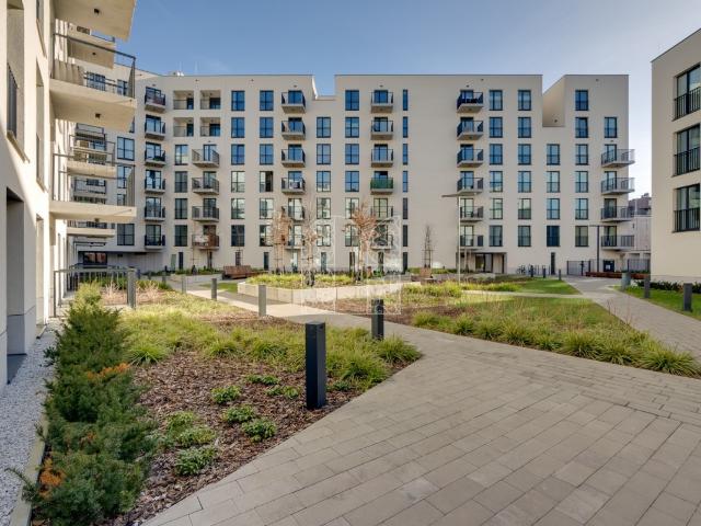 Mieszkanie na wynajem | Katowice Centrum
