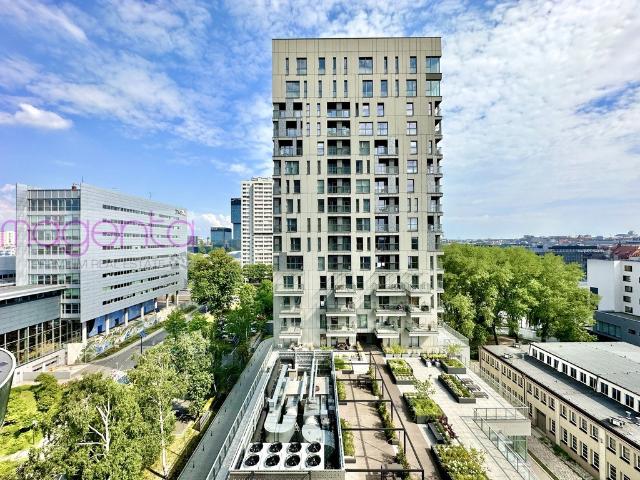 Mieszkanie na wynajem, Katowice, Śródmieście, Sokolska