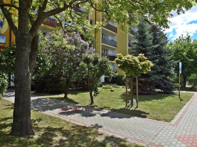 Mieszkanie na wynajem, Płock, Dobrzyńska, Kwiatowa