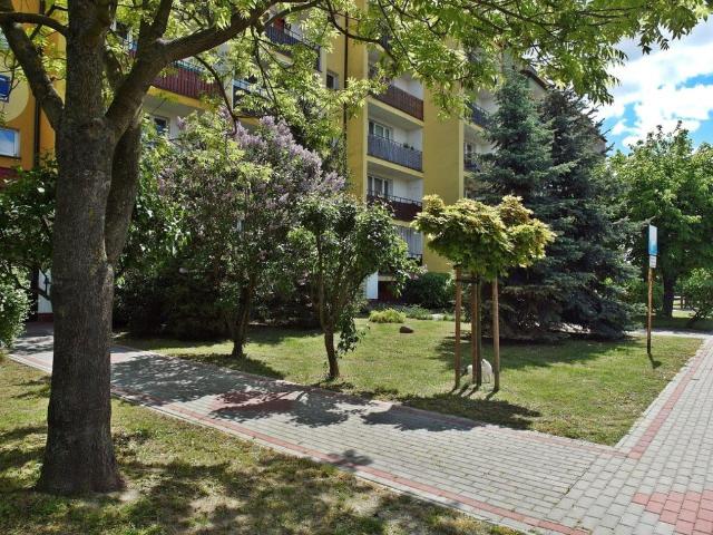 Mieszkanie na wynajem, Płock, Dobrzyńska, Kwiatowa