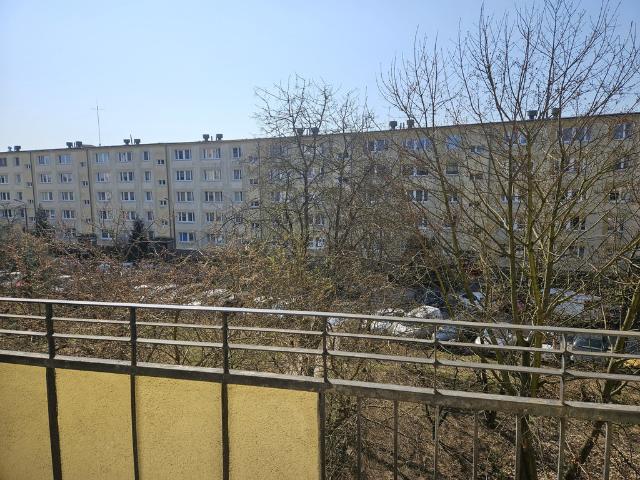 Mieszkanie na wynajem, Poznań