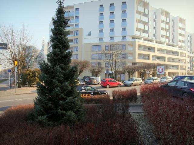 Mieszkanie na wynajem, Poznań, Grunwald, Marcelińska