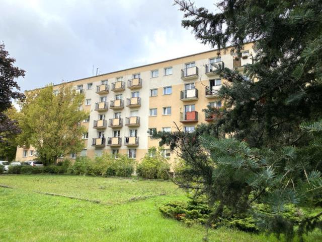 Mieszkanie na wynajem, Poznań, Winiary, Nad Potokiem
