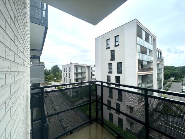 Mieszkanie na wynajem, Wrocław, Stare Miasto, Długa