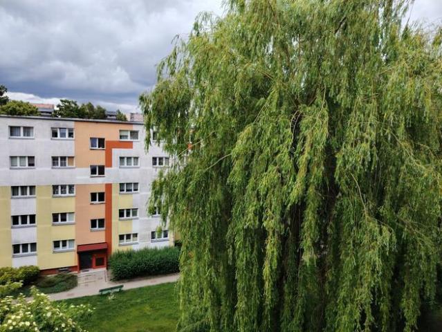 Mieszkanie Łódź Łódź Bałuty, Żubardź, Żubardzka