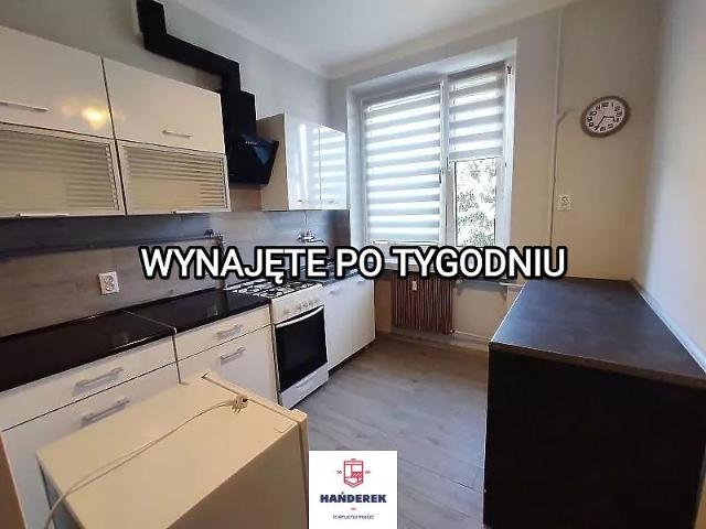 Mieszkanie Do Wynajęcia