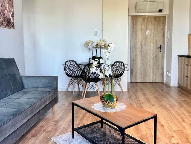 Mieszkanie do wynajęcia, Wrocław Krzyki Partynice Zwycięska, 2900 PLN, 38 m2, domy 14380292
