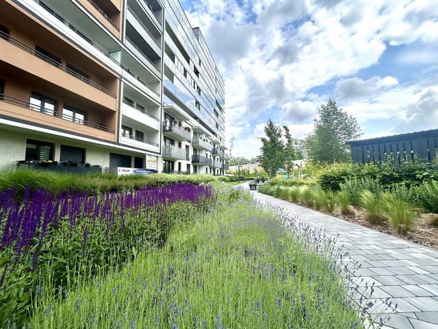 Mieszkanie do wynajęcia, Wrocław Wrocław Stare Miasto Długa, 2060 PLN, 28,32 m2, domy 340/17067/OMW