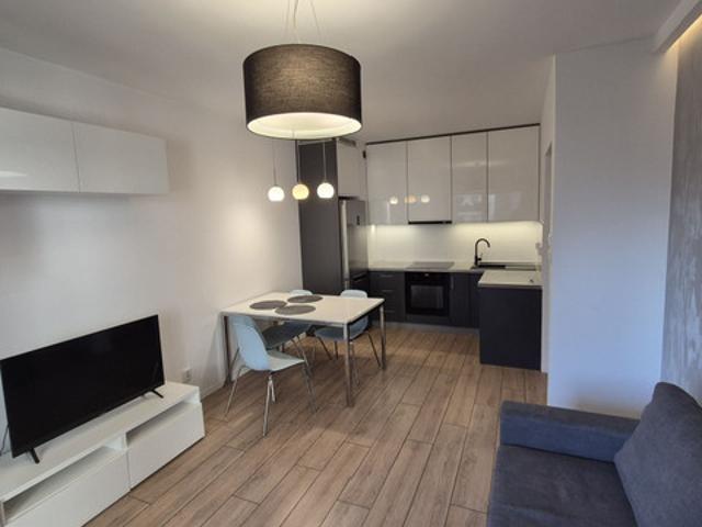 Mieszkanie do wynajęcia, Łódź Polesie Stare Polesie Gdańska, 2300 PLN, 39 m2, domy 108