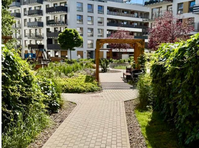 Mieszkanie do wynajęcia, Poznań Rataje Smolna, 2700 PLN, 37 m2, domy 458
