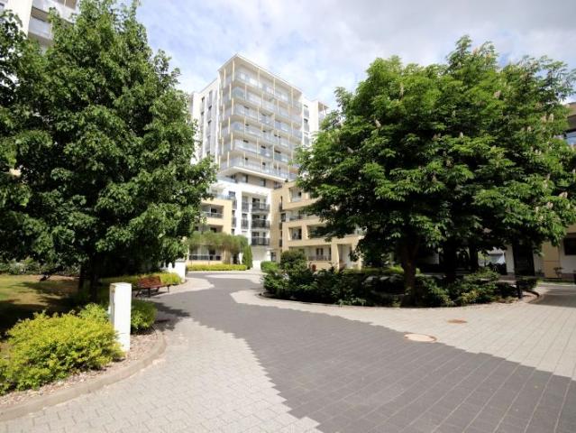 Mieszkanie kawalerka z aneksem kuchennym 34,72 m² na wynajem Poznań, Grunwald