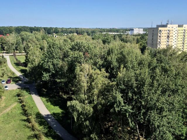 Mieszkanie kawalerka z kuchnią z oknem 36 m² na wynajem ul. Centaura, Gliwice, Kopernik