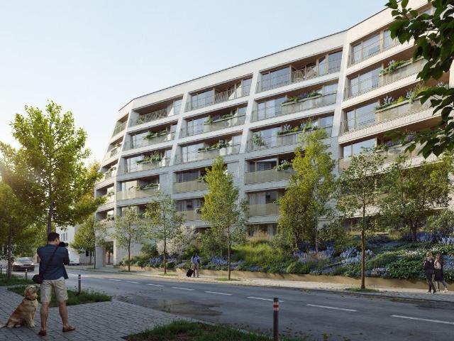 Mieszkanie, Poznań Stare Miasto Chwaliszewo, Grobla 19b, Grobla 19b, M17