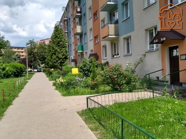 MIESZKANIE WYNAJEM Sadkowska Nad Potokiem Radom Mazowieckie