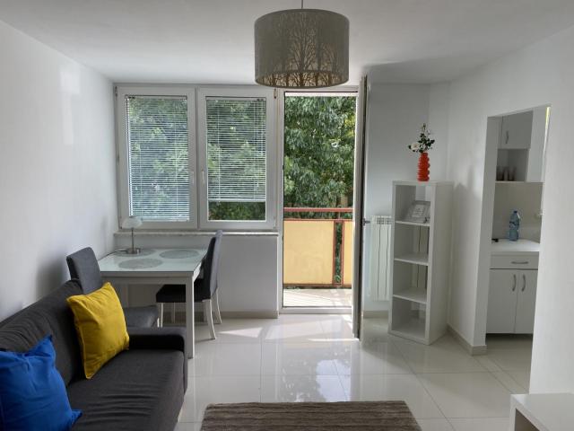 Mieszkanie wynajmę, Warszawa, Śródmieście, Niska, 31 m2, cena: 2 400 zł