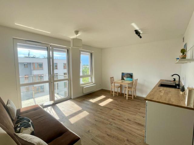 Mieszkanie wynajmę, Kraków, ruczaj, Jana Kantego Federowicza, 27 m2, cena: 2 200 zł