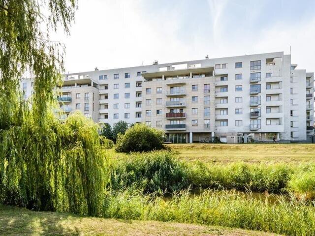 Mieszkanie, Warszawa, Idzikowskiego, 75.00 m², wynajmę mieszkanie