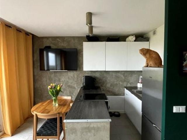 Mieszkanie 26,90 m², Tychy