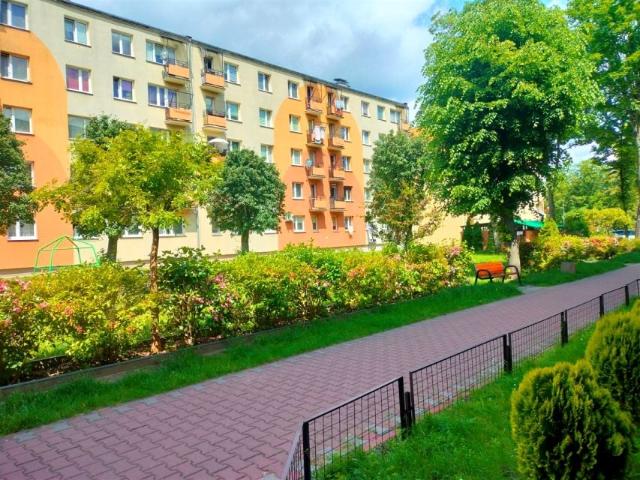 Mieszkanie 27 m², Radom