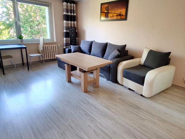 Mieszkanie 29,30 m² z aneksem kuchennym na wynajem ul. Śmigielskiego, Będzin, Syberka