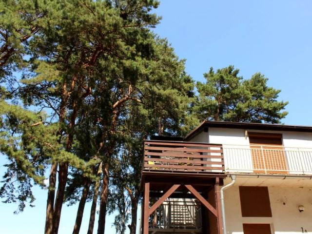 Mieszkanie 20,50 m², Radzyń