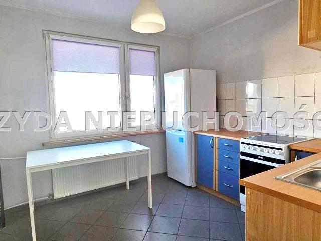 Mieszkanie 35 m² w górach na wynajem Świdnica, Młodych