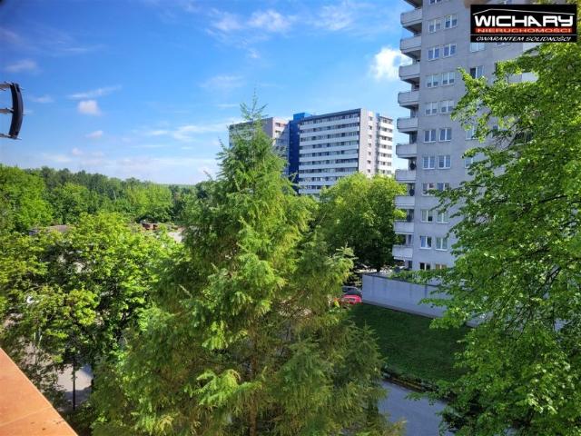 Mieszkanie 37 m², Katowice