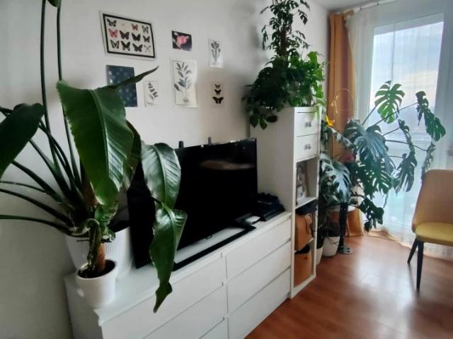 Mieszkanie 38 m², Opole