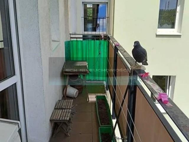 Mieszkanie 38 m² na Saskiej Kępie polecam