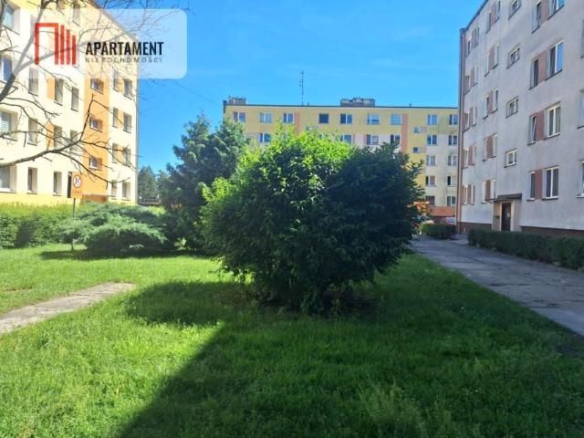 Mieszkanie 38,70 m², Potulice