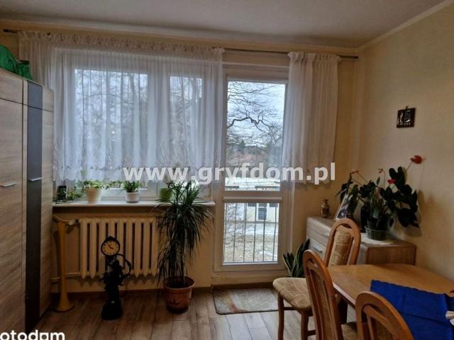 Mieszkanie 30 m², Płoty