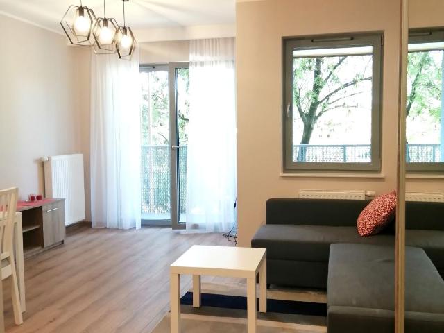 Mieszkanie 30 m² z aneksem kuchennym na wynajem Kraków