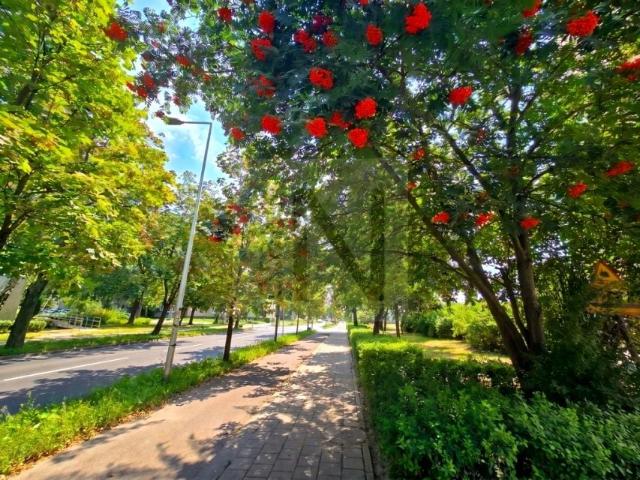 Mieszkanie 48 m², Częstochowa