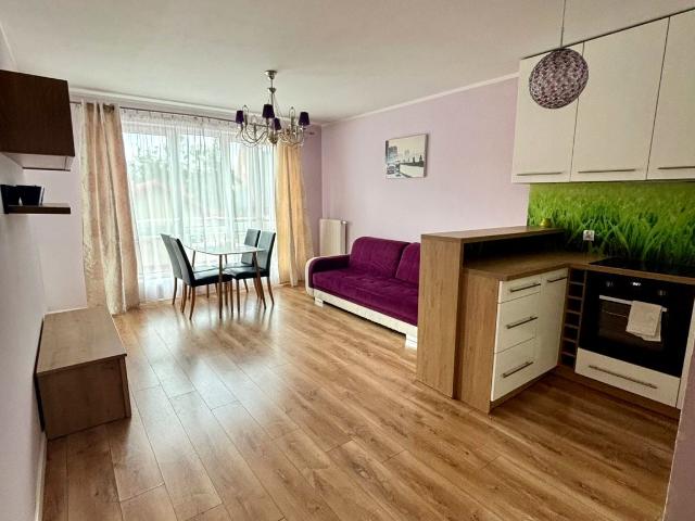 Mieszkanie 49 m² z aneksem kuchennym na wynajem ul. Mały Płaszów, Kraków, Płaszów