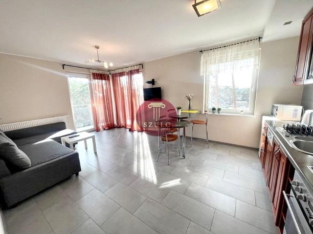 Mieszkanie 41 m², Dziwnówek