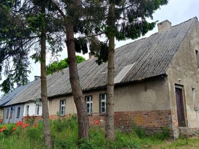 Mieszkanie 50 m², Dalewo