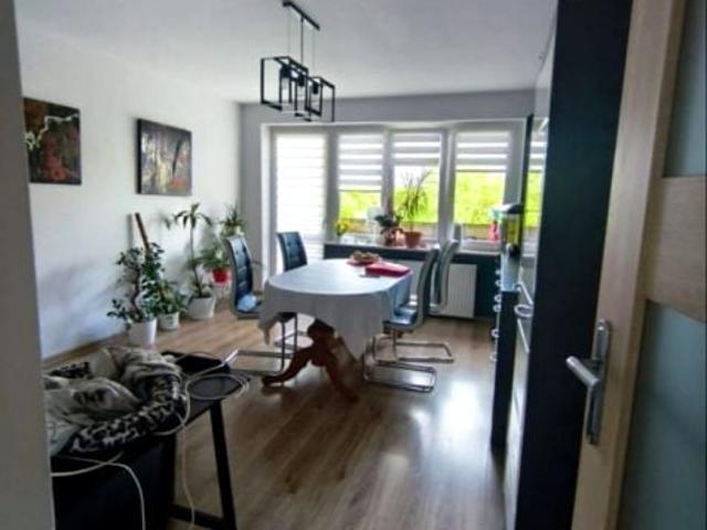 Mieszkanie 50 m², Legnica
