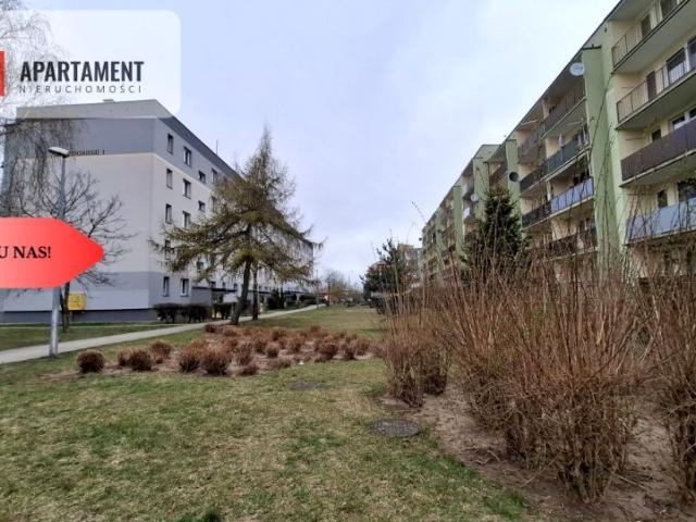 Mieszkanie 53,80 m², Iława