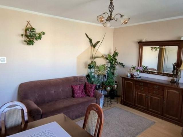 Mieszkanie 62,90 m², Lubin