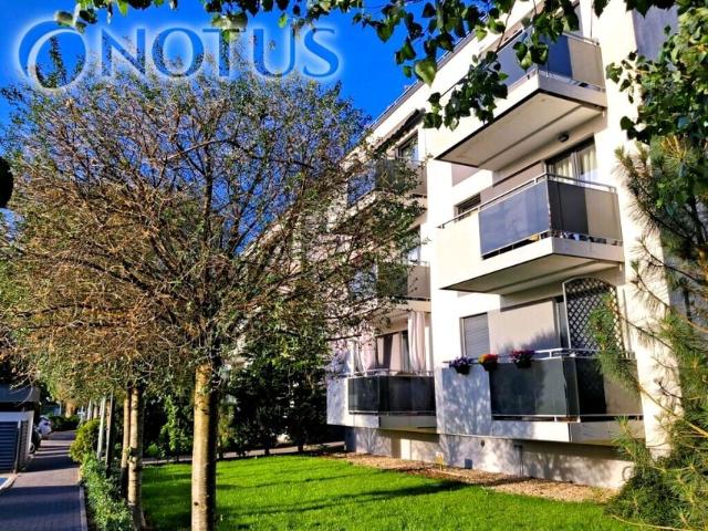 Mieszkanie 79 m², Toruń