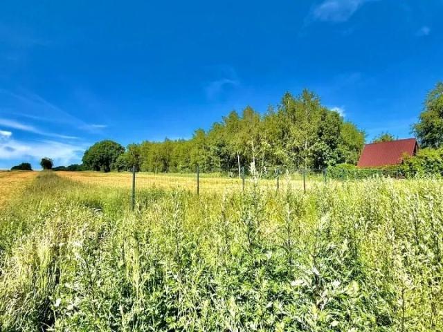 Mieszkanie 81,50 m², Tarnowskie Góry