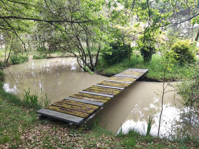 Mignaloux Beauvoir Vente Terrain 86